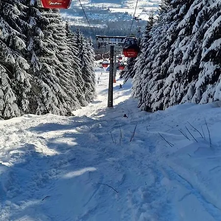 Schroeder - Harzflair - Inklusive Bettwaesche *