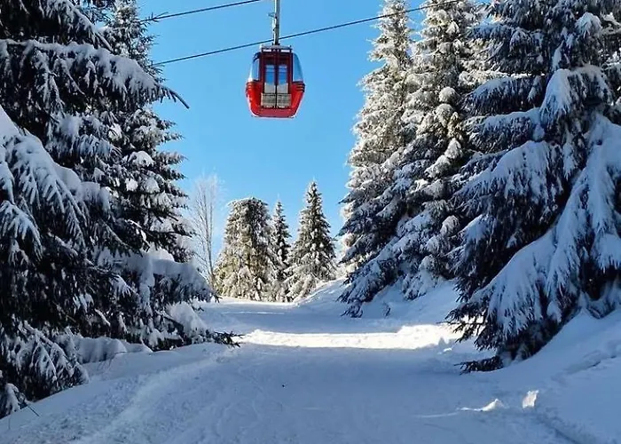 Schroeder - Harzflair - Inklusive Bettwaesche Daire