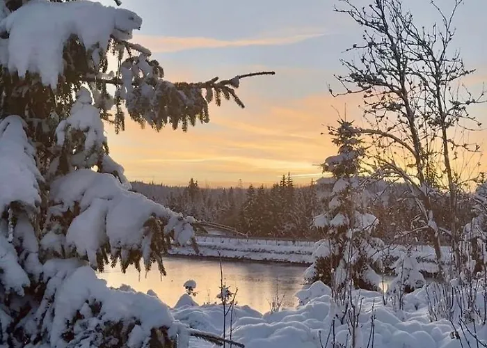 Schroeder - Harzflair - Inklusive Bettwaesche Daire